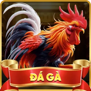 Đảm bảo công bằng và minh bạch tại Daga68 link mới